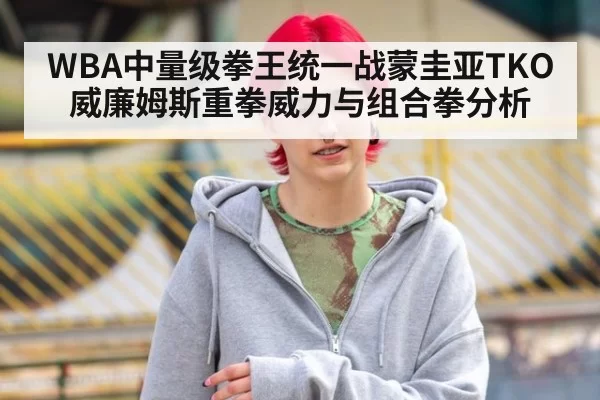 WBA中量级拳王统一战蒙圭亚TKO威廉姆斯重拳威力与组合拳分析