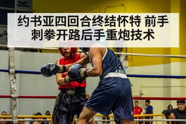 约书亚四回合终结怀特 前手刺拳开路后手重炮技术